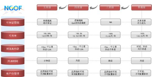 OTN精品专线成行业趋势，谨防服务品质“开倒车” 信息系统集成服务的挑战与应对
