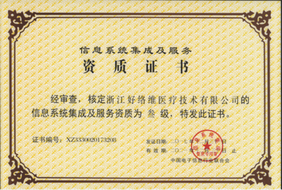 信息系统集成服务联合声明项目框架